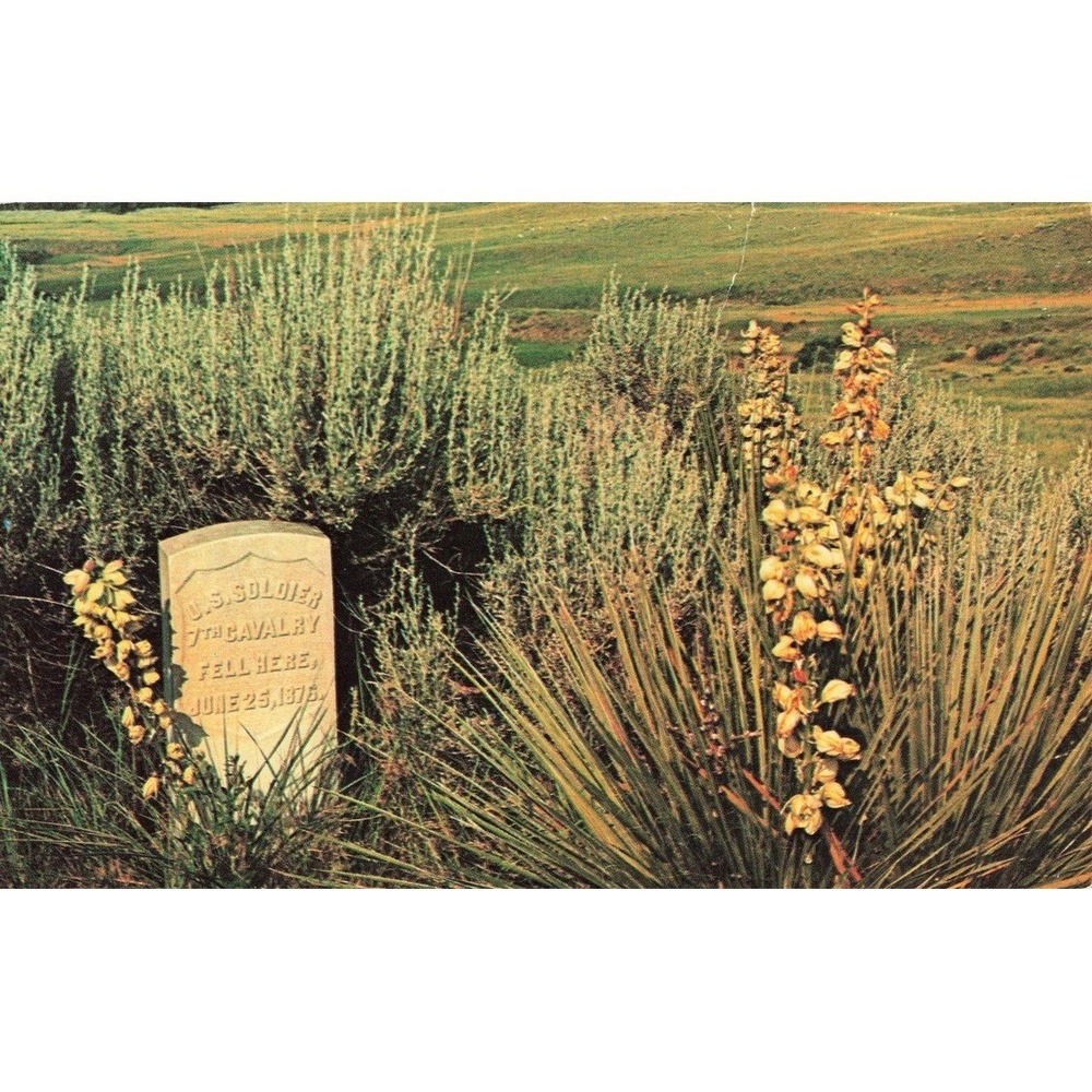 Billings News Postcard Custer Battlefield 7th Cavalry Montana Vintage Headstones